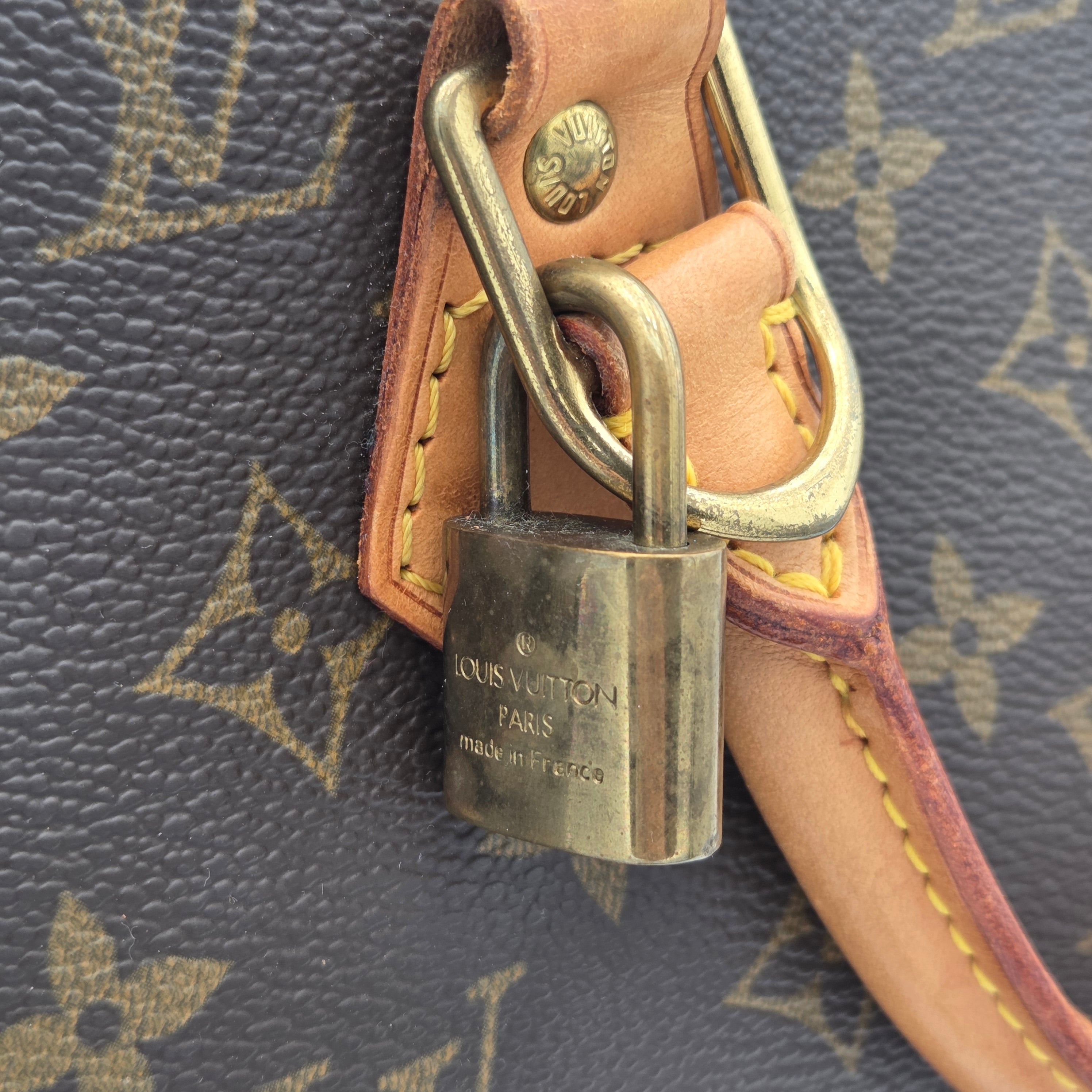 Sac Alma PM vintage