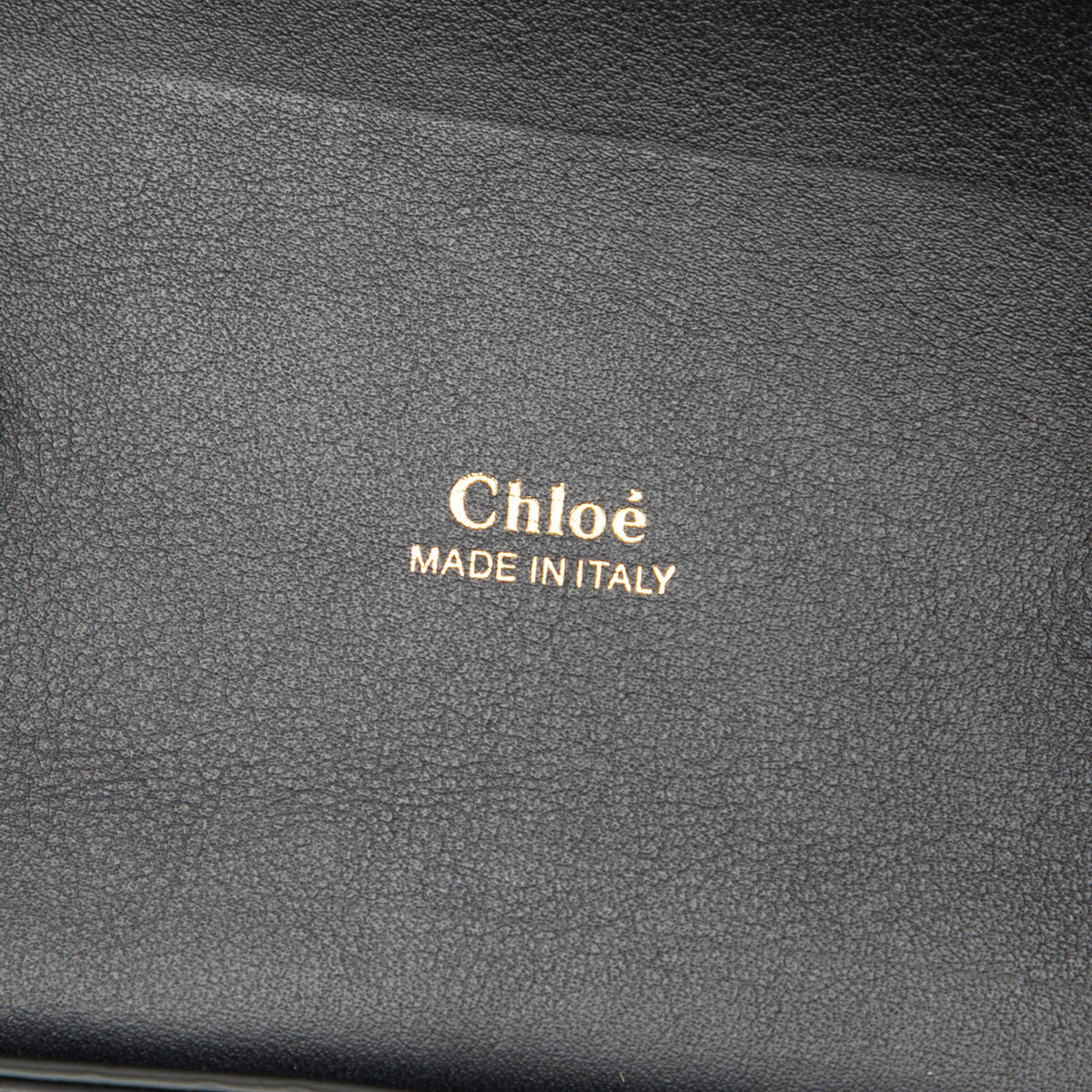Sac Chloé Tricolor Croc Embossed Cuir Aby Lock Sac à main – photo 5