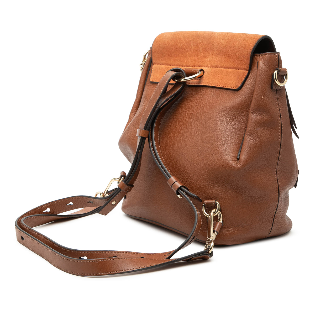 Sac Chloé Medium Cuir de veau and Daim Faye Sac à dos – photo 2