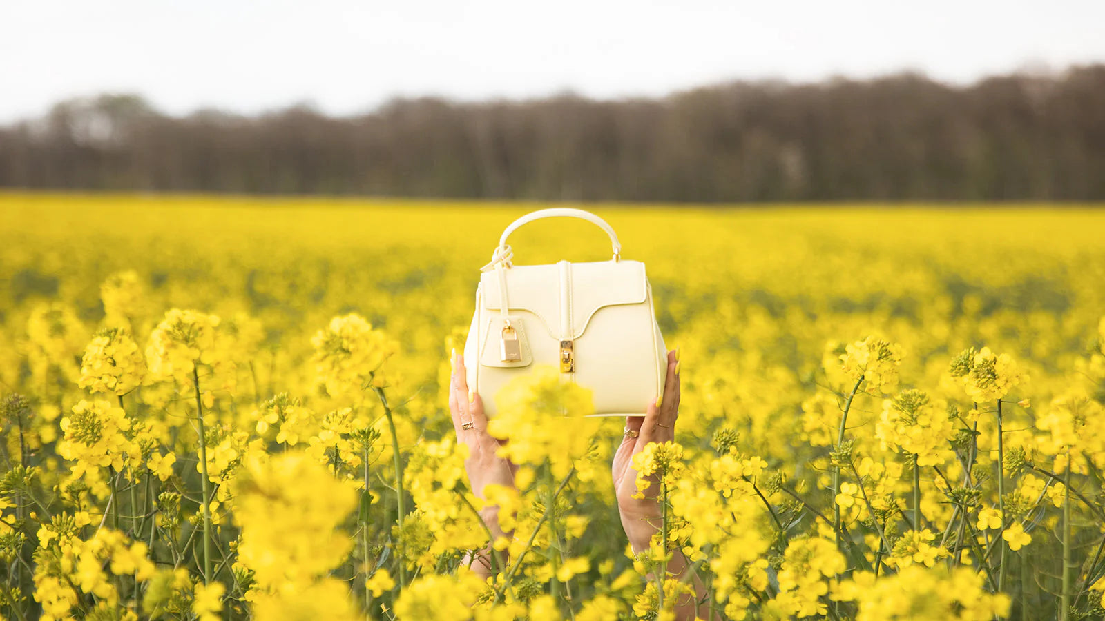 Sac 16 celine seconde main