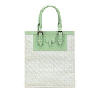 Sac Loewe Anagram Toile Cabas - Vert